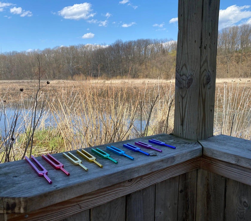 RV Medics' Unweighted Set Of All 9 Solfeggio Frequencies Best Tuning Forks For Vibration With Individually Marked Bags and Strikers