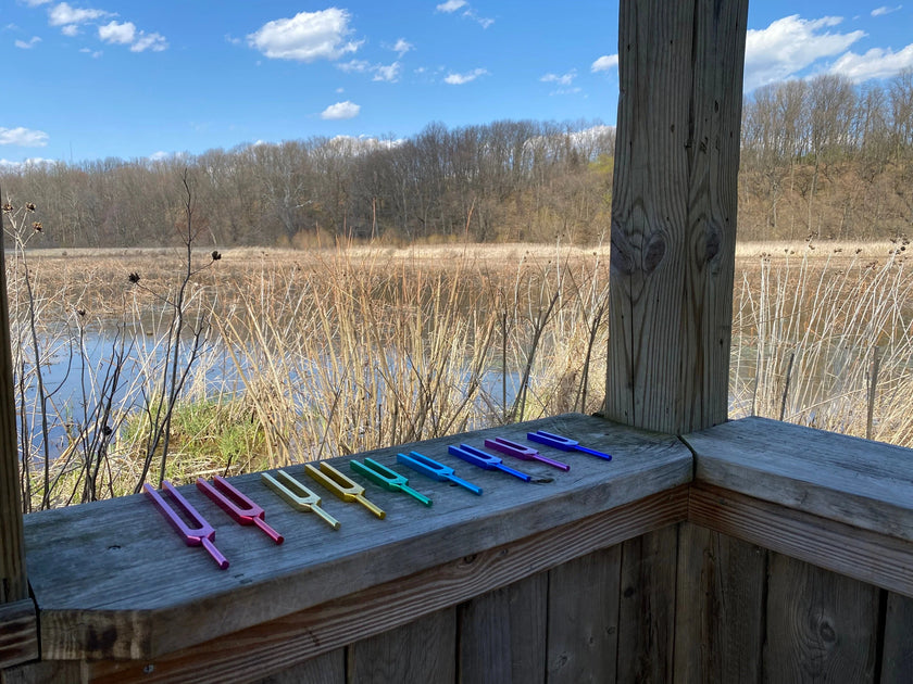 RV Medics' Unweighted Set Of All 9 Solfeggio Frequencies Best Tuning Forks For Vibration With Individually Marked Bags and Strikers