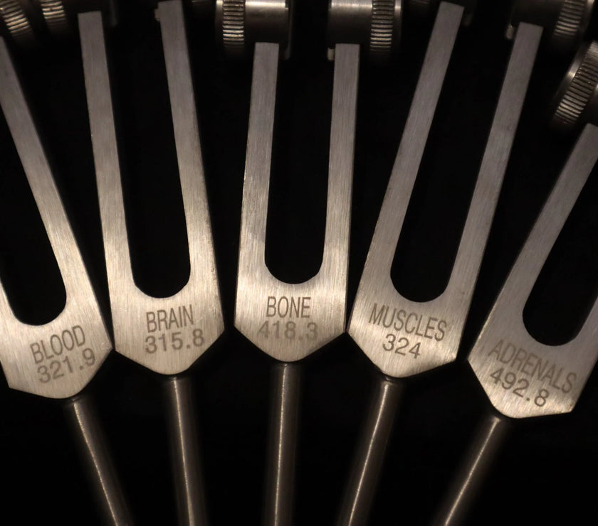 24pc Human Biology and Secret Solfeggio Tuning Fork - Professionally Tuned .25 - Gold, Silver Bio-field Sound Vibration