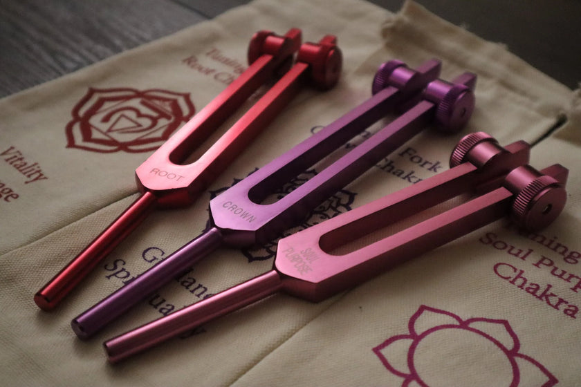 RV Medics' Professionally Tuned .25 - 8pc Chakra Premium Tuning Fork Set, Chakra Printed Engrams, Soul Purpose, Biofield