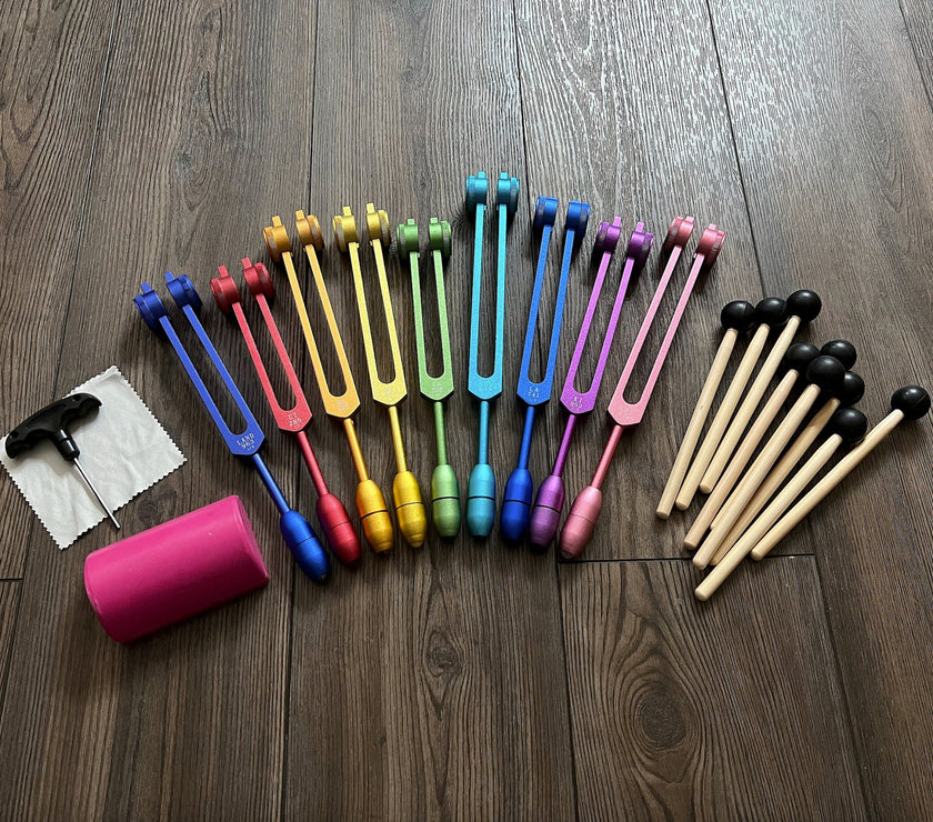 RV Medics' Professionally Tuned .25 9pc Weighted Set of 9 Solfeggio Tuning Forks with 10pc Crystal Massage Attenuator Set - Biofield