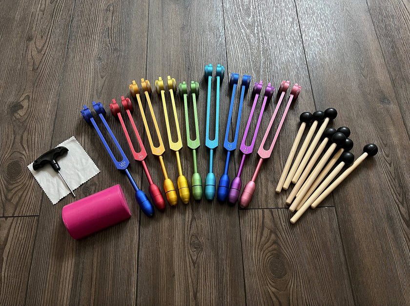 RV Medics' Professionally Tuned .25 9pc Weighted Set of 9 Solfeggio Tuning Forks with 10pc Crystal Massage Attenuator Set - Biofield