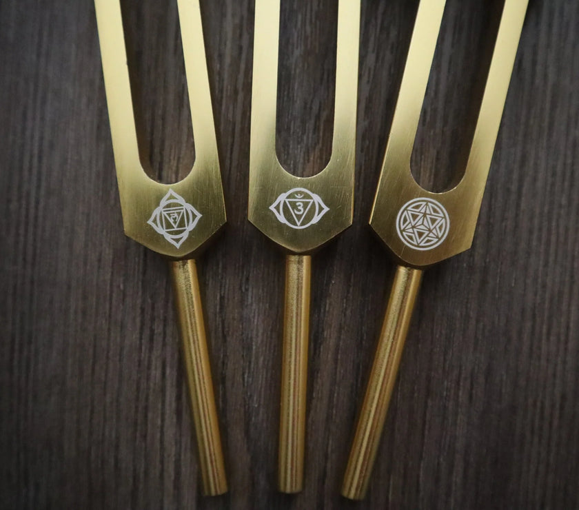 12pc Song of the Spine Tuning Fork Set Professionally Tuned .25 - Bio-field - Organs, Tissue, and Cells, Sound Vibration, Bag
