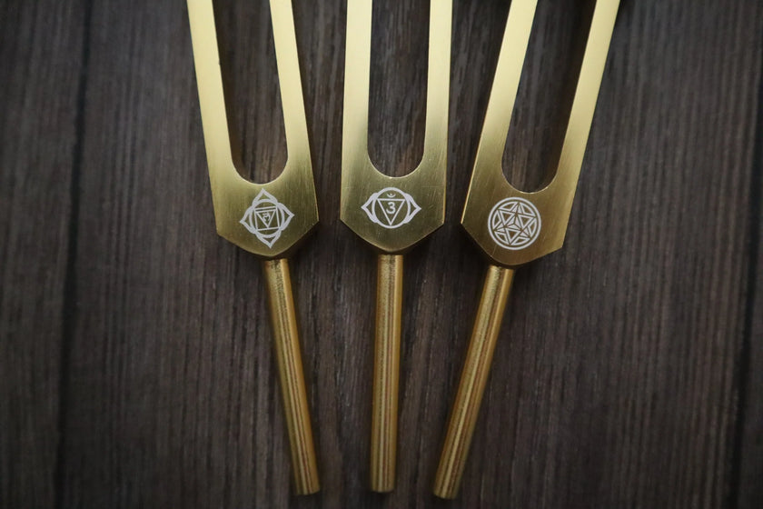 12pc Song of the Spine Tuning Fork Set Professionally Tuned .25 - Bio-field - Organs, Tissue, and Cells, Sound Vibration, Bag