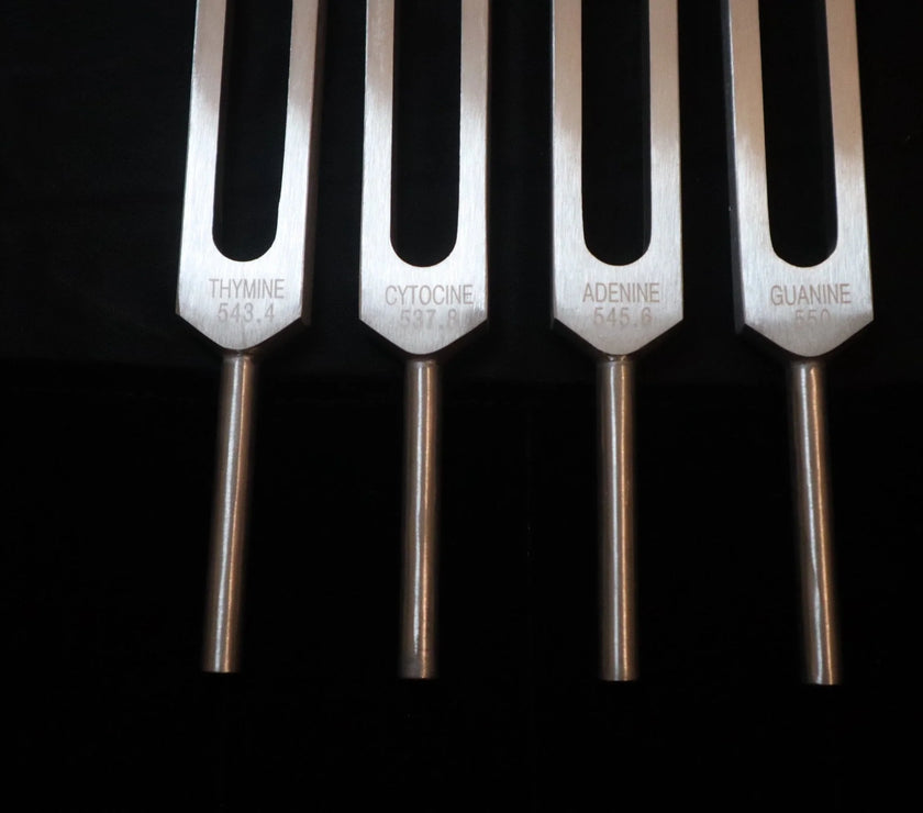 DNA Tuning Fork Set - Professionally Tuned .25 Hz, Bio-field, Sound Vibration, Unweighted 4pc Set, Velvet Carry Bag
