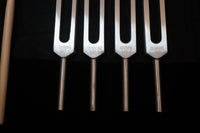 DNA Tuning Fork Set - Professionally Tuned .25 Hz, Bio-field, Sound Vibration, Unweighted 4pc Set, Velvet Carry Bag