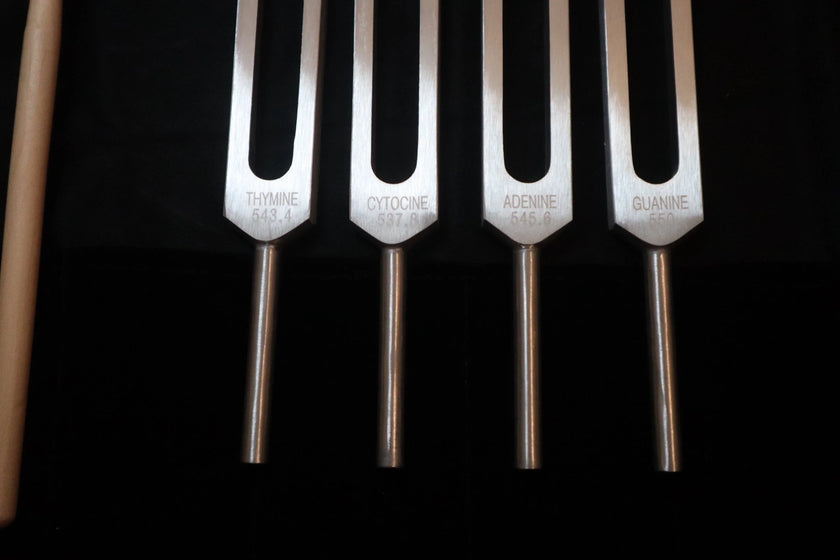 DNA Tuning Fork Set - Professionally Tuned .25 Hz, Bio-field, Sound Vibration, Unweighted 4pc Set, Velvet Carry Bag