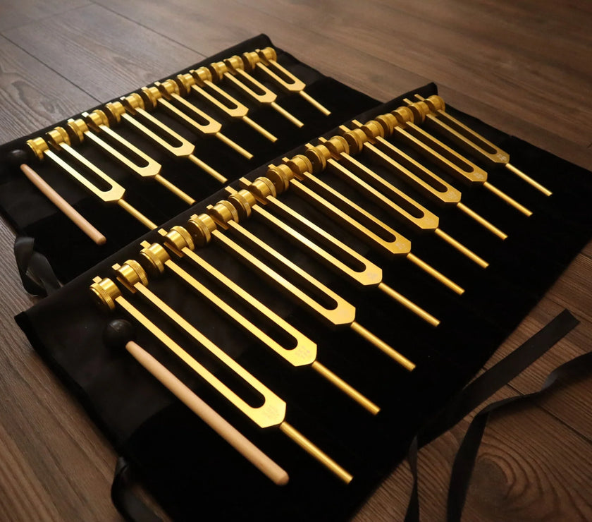 9pc Secret Solfeggio and 8pc Chakra Tuning Fork Bundle - Professionally Tuned .25 - Gold Weighted, 2 Strikers, 2 Carry Bags