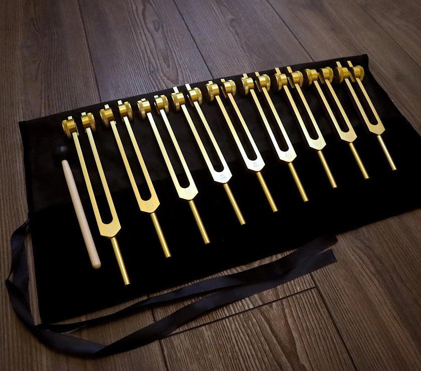 RV Medics' 9pc Solfeggio Weighted Tuning Fork Set - Professionally Tuned .25 - Gold, 528Hz, Bio-field, Bag, Striker