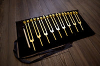 RV Medics' 9pc Solfeggio Weighted Tuning Fork Set - Professionally Tuned .25 - Gold, 528Hz, Bio-field, Bag, Striker