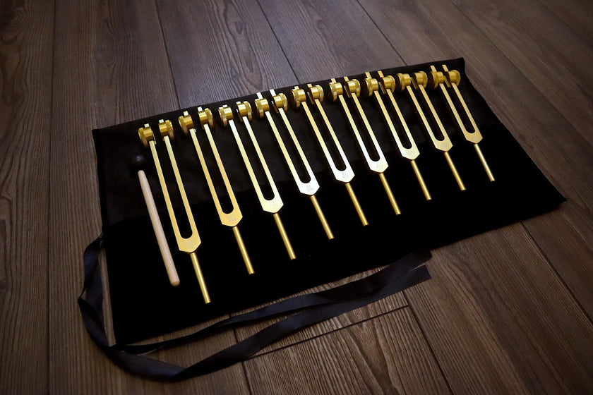RV Medics' 9pc Solfeggio Weighted Tuning Fork Set - Professionally Tuned .25 - Gold, 528Hz, Bio-field, Bag, Striker