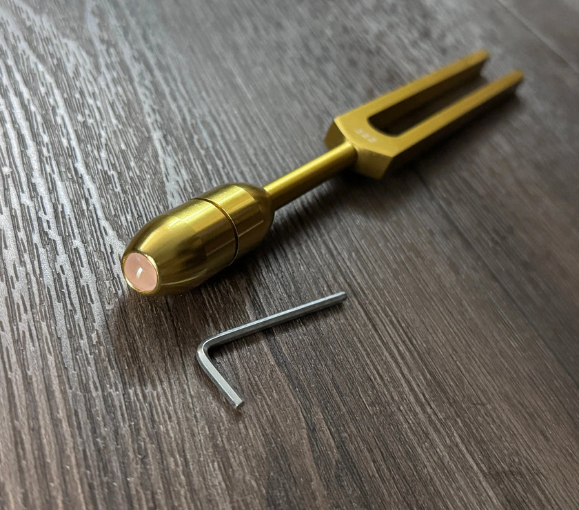 222 Hz Tuning Fork - Carry Bag and Striker, Sound Vibration, Energy Vibration - Attenuator Handle Extender with 10mm Crystal - Biofield