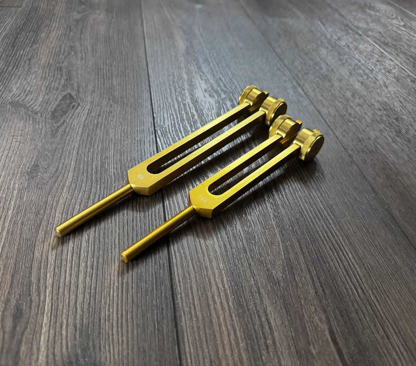 89Hz and 144Hz - Fibonacci, Golden Ration Tuning Fork Set - Gamma Binaural Beat Entrainment - Attenuator Handle Extender with 10mm Crystal