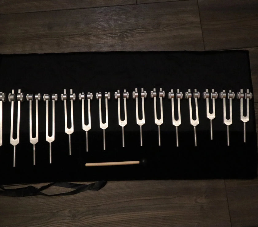RV Medics' Professionally Tuned .25 15pc Human Biology Tuning Fork Set - Organs Tissue Cells Sound Vibration, Bio-field, Carry Bag