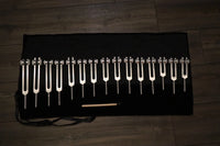 RV Medics' Professionally Tuned .25 15pc Human Biology Tuning Fork Set - Organs Tissue Cells Sound Vibration, Bio-field, Carry Bag