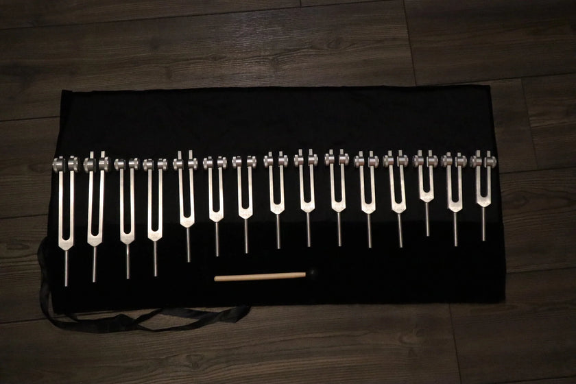 RV Medics' Professionally Tuned .25 15pc Human Biology Tuning Fork Set - Organs Tissue Cells Sound Vibration, Bio-field, Carry Bag