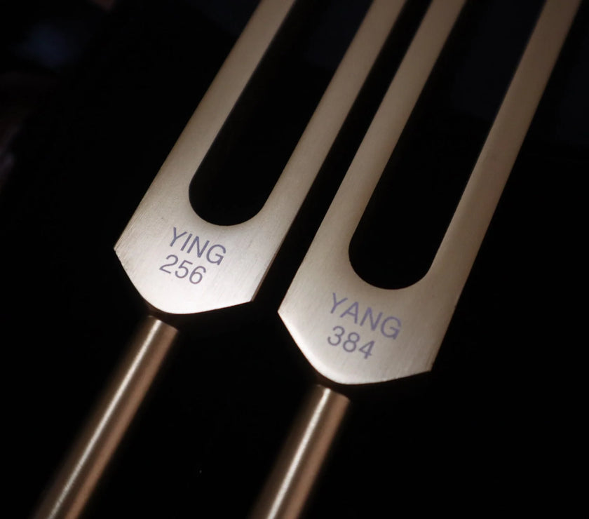 Perfect Fifth Harmonic Yin and Yang Tuning Fork Set - Professionally Tuned .25 Hz - C 256 Hz G 384 Hz, Unweighted, Bio-field Therapy
