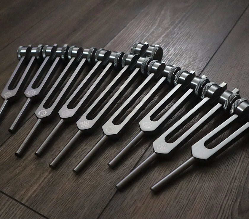 RV Medics' Professionally Tuned .25 9pc Chakra Tuning Forks - Gray - Earth Star Chakra through Soul Star - Biofield, Sound Vibration