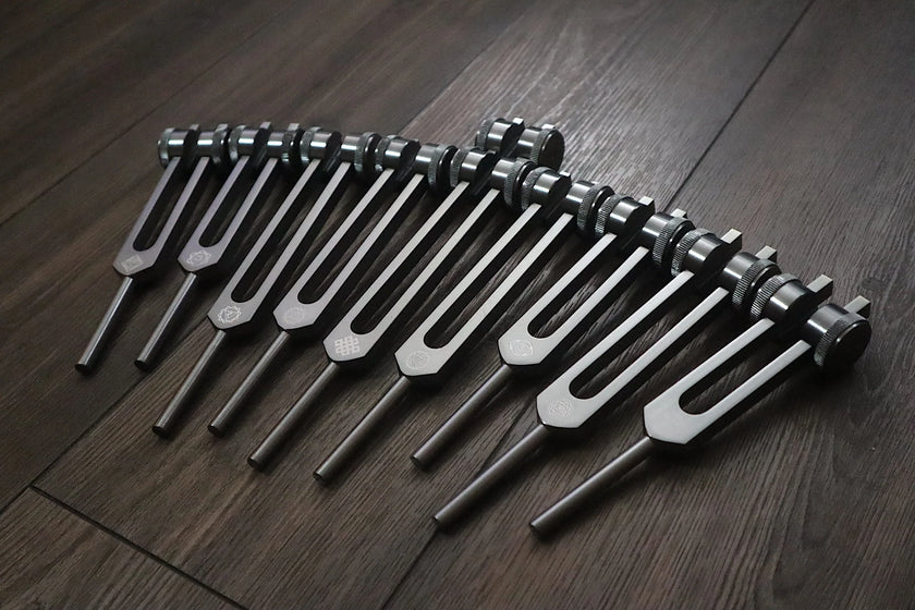 RV Medics' Professionally Tuned .25 9pc Chakra Tuning Forks - Gray - Earth Star Chakra through Soul Star - Biofield, Sound Vibration