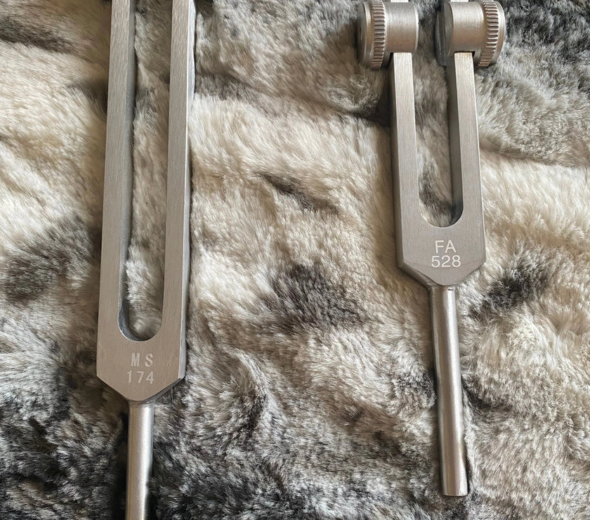 Weighted 174 Hz and 528 Hz Pair Silver Weighted anodized aluminum Tuning Forks - Attenuator Handle Extender with 10mm Crystal
