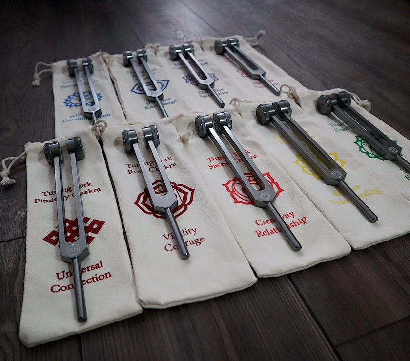 RV Medics' Professionally Tuned .25 9pc Chakra Tuning Forks - Gray - Earth Star Chakra through Soul Star - Biofield, Sound Vibration