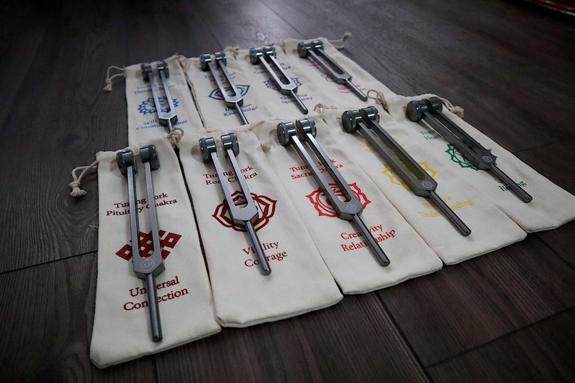 RV Medics' Professionally Tuned .25 9pc Chakra Tuning Forks - Gray - Earth Star Chakra through Soul Star - Biofield, Sound Vibration