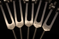 RV Medics' Professionally Tuned .25 15pc Human Biology Tuning Fork Set - Organs Tissue Cells Sound Vibration, Bio-field, Carry Bag