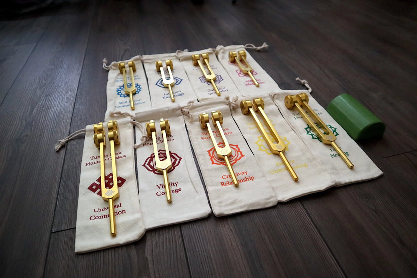 12pc Song of the Spine Tuning Fork Set Professionally Tuned .25 - Bio-field - Organs, Tissue, and Cells, Sound Vibration, Bag
