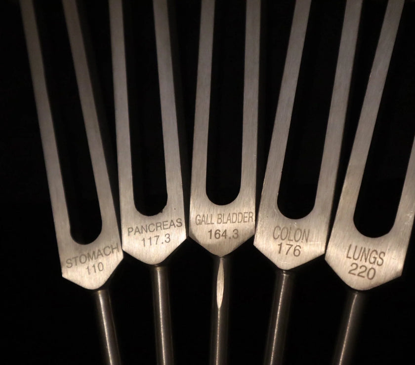 24pc Human Biology and Secret Solfeggio Tuning Fork - Professionally Tuned .25 - Gold, Silver Bio-field Sound Vibration