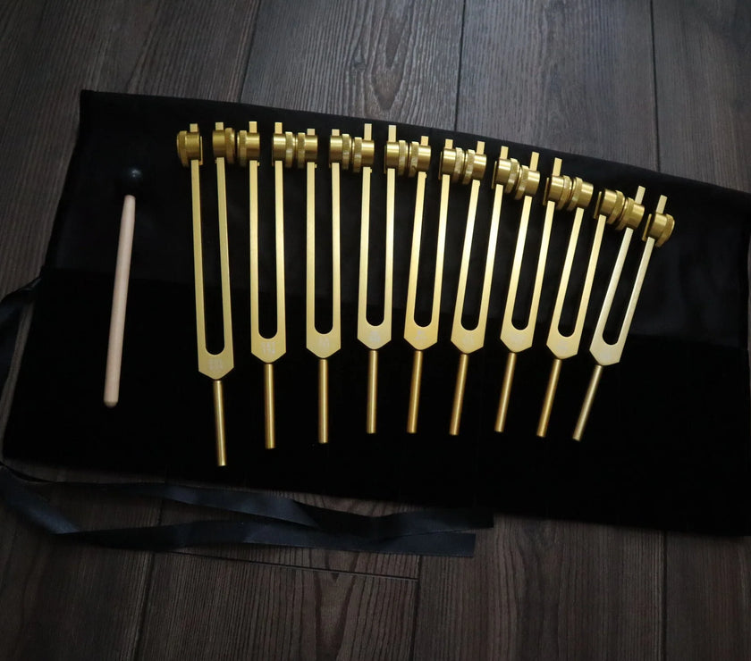9pc Secret Solfeggio and 8pc Chakra Tuning Fork Bundle - Professionally Tuned .25 - Gold Weighted, 2 Strikers, 2 Carry Bags