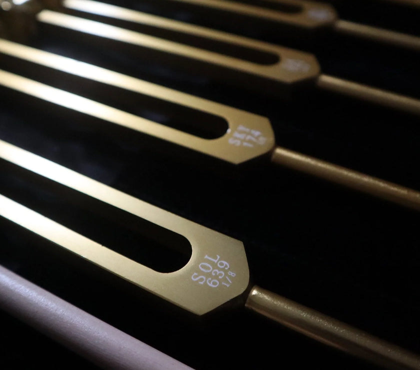 RV Medics' 9pc Solfeggio Weighted Tuning Fork Set - Professionally Tuned .25 - Gold, 528Hz, Bio-field, Bag, Striker