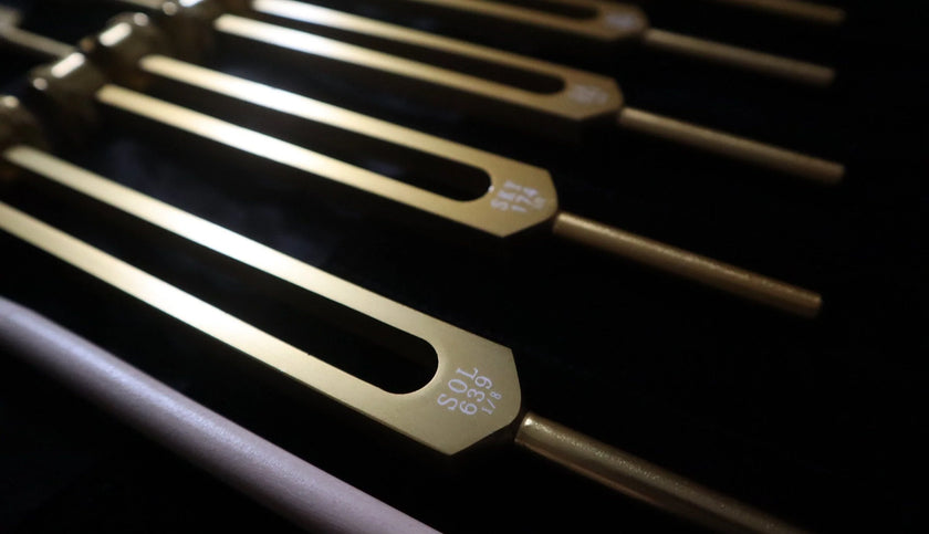 RV Medics' 9pc Solfeggio Weighted Tuning Fork Set - Professionally Tuned .25 - Gold, 528Hz, Bio-field, Bag, Striker