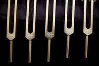 11pc Planetary Set - Professionally Tuned .25 - Astrology, Planetary Influences, Sound Vibration, Bio-field, Velvet Carry Bag