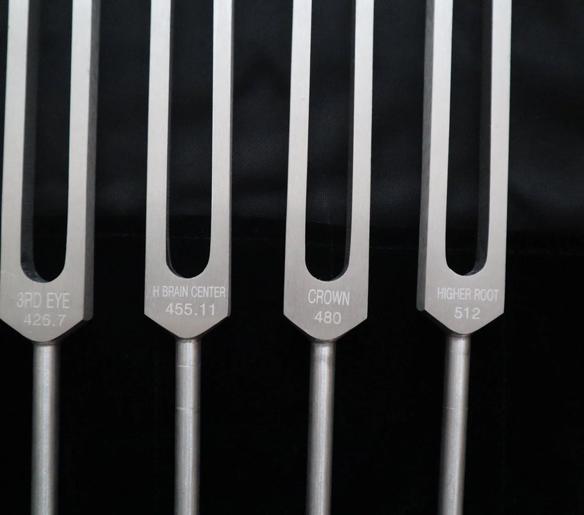 Chromatic Scale of The Perfect Fifth 13pc Tuning Fork Set - Professionally Tuned .25 Hz, Unweighted, Bio-field, Sound Vibration