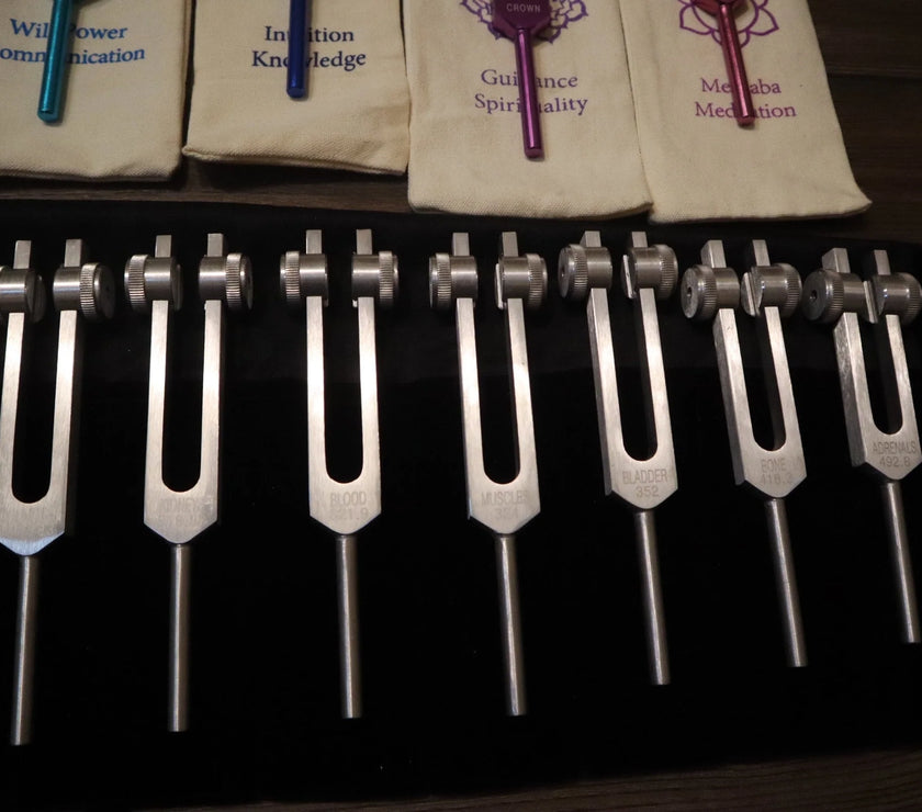 23pc Human Biology And Chakra Tuning Fork Bundle - Professionally Tuned .25 - Weighted, Bio-field, Sound Vibration