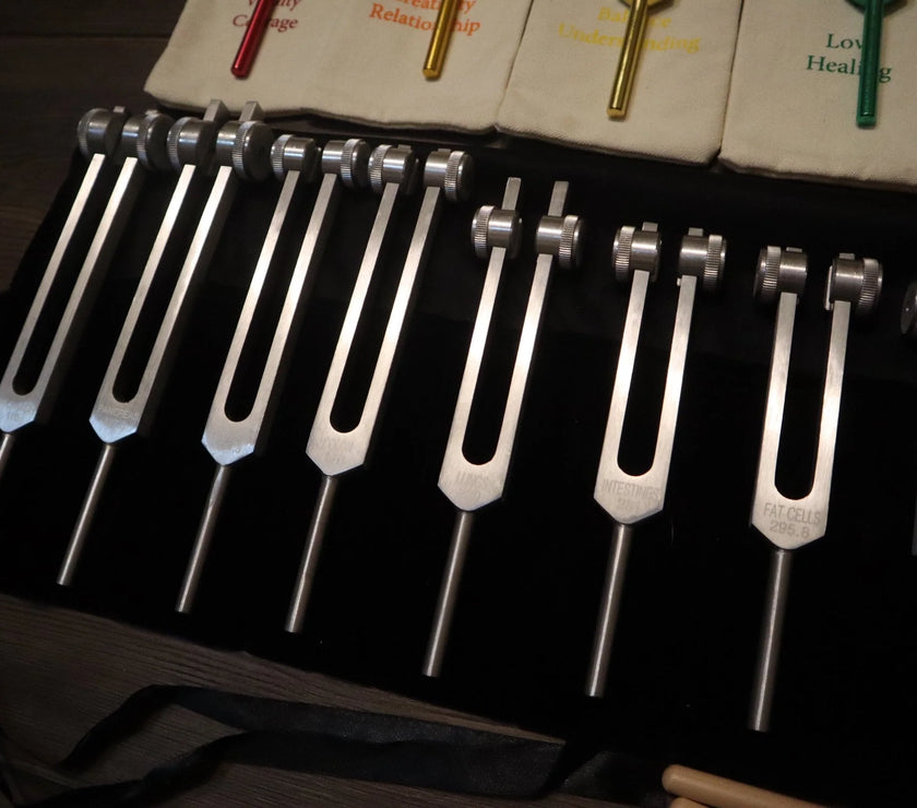 23pc Human Biology And Chakra Tuning Fork Bundle - Professionally Tuned .25 - Weighted, Bio-field, Sound Vibration