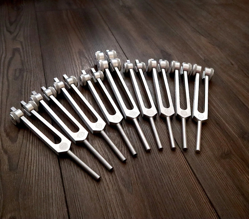 RV Medics' Professionally Tuned .25 8pc Chakra Tuning Fork Set - Silver - Root to Crown Chakras - Attenuator Extenders - Biofield