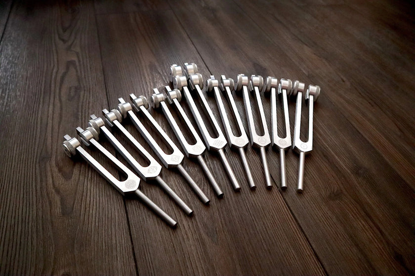 RV Medics' Professionally Tuned .25 8pc Chakra Tuning Fork Set - Silver - Root to Crown Chakras - Attenuator Extenders - Biofield