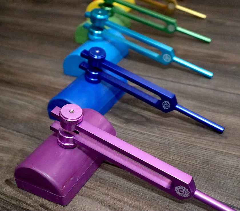 RV Medics' Professionally Tuned .25 9pc Chakra Tuning Forks - Gray - Earth Star Chakra through Soul Star - Biofield, Sound Vibration