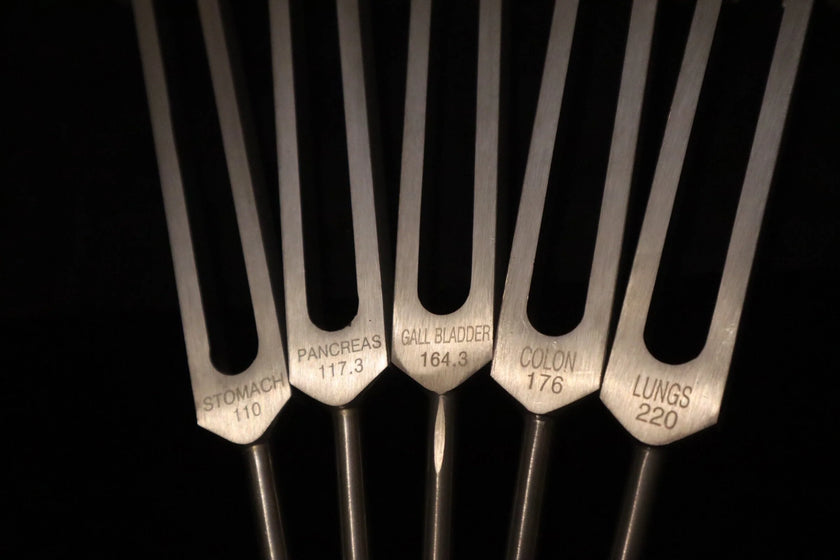 RV Medics' Professionally Tuned .25 15pc Human Biology Tuning Fork Set - Organs Tissue Cells Sound Vibration, Bio-field, Carry Bag