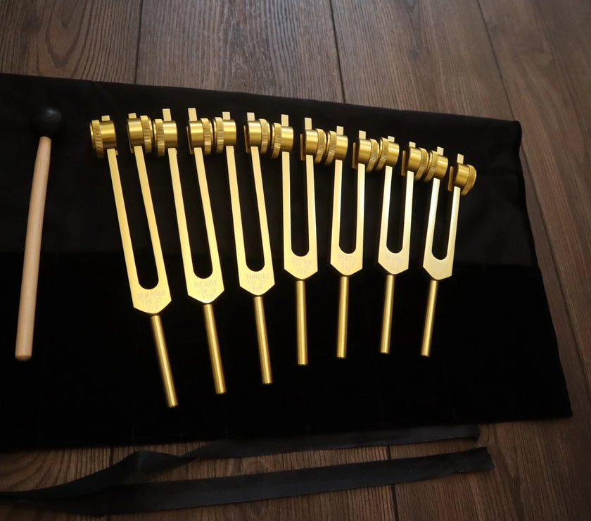 9pc Secret Solfeggio and 8pc Chakra Tuning Fork Bundle - Professionally Tuned .25 - Gold Weighted, 2 Strikers, 2 Carry Bags