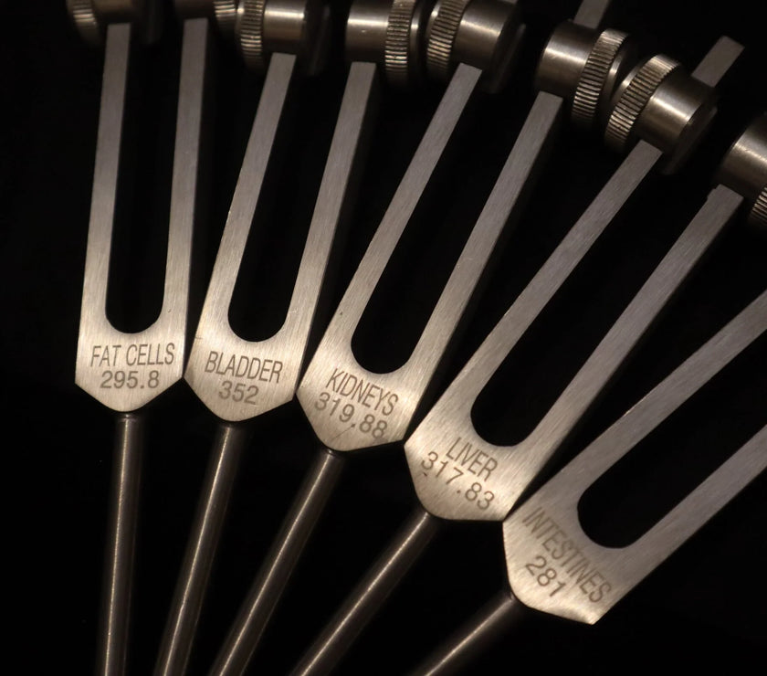 24pc Human Biology and Secret Solfeggio Tuning Fork - Professionally Tuned .25 - Gold, Silver Bio-field Sound Vibration