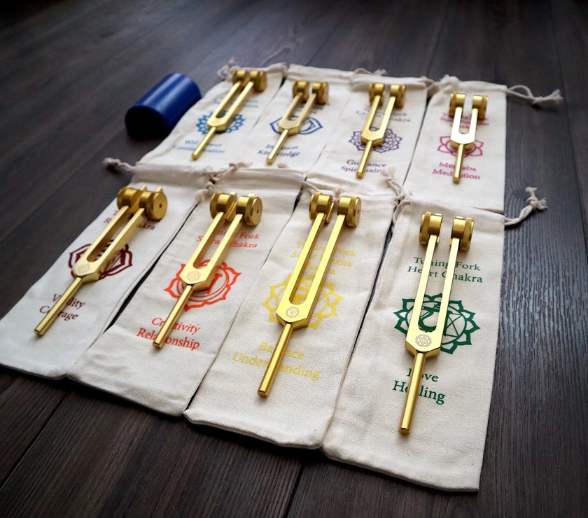 12pc Song of the Spine Tuning Fork Set Professionally Tuned .25 - Bio-field - Organs, Tissue, and Cells, Sound Vibration, Bag