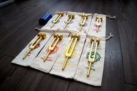 12pc Song of the Spine Tuning Fork Set Professionally Tuned .25 - Bio-field - Organs, Tissue, and Cells, Sound Vibration, Bag