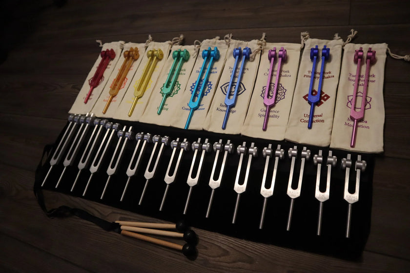 24pc Human Biology And Solfeggio Tuning Forks - Professionally Tuned .25 - Bio-field, Sound Vibration, Vibration