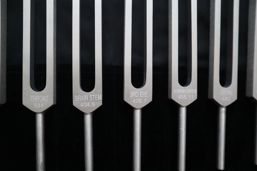 Chromatic Scale of The Perfect Fifth 13pc Tuning Fork Set - Professionally Tuned .25 Hz, Unweighted, Bio-field, Sound Vibration