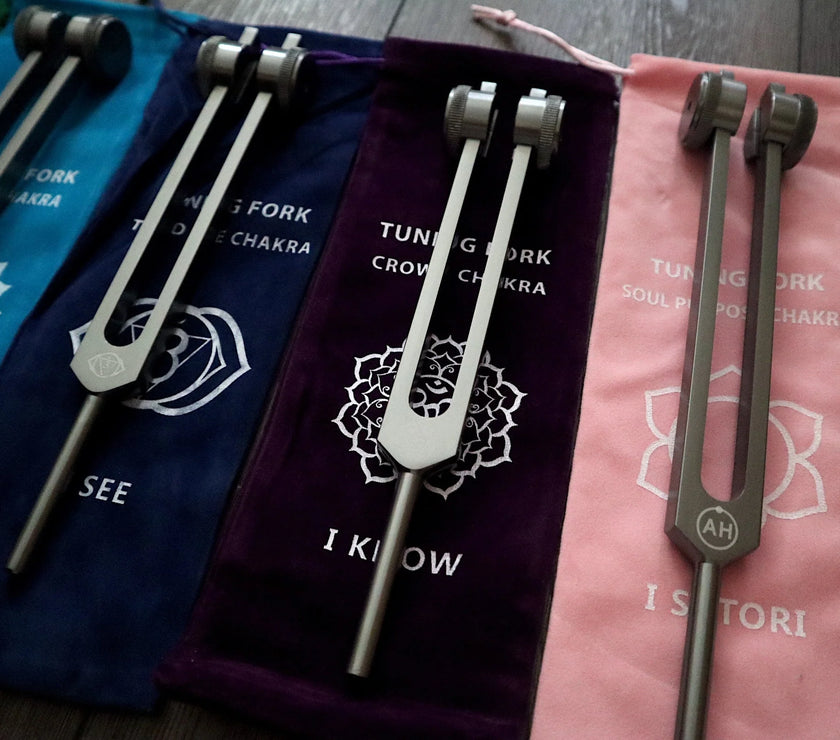 RV Medics' Professionally Tuned .25 Secret Solfeggio - Classic 9pc Set - Limited Edition Gray, Chakra Printed Engrams, Biofield,