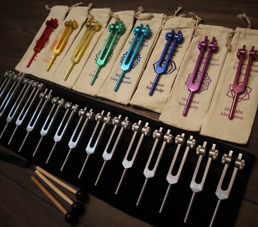 23pc Human Biology And Chakra Tuning Fork Bundle - Professionally Tuned .25 - Weighted, Bio-field, Sound Vibration