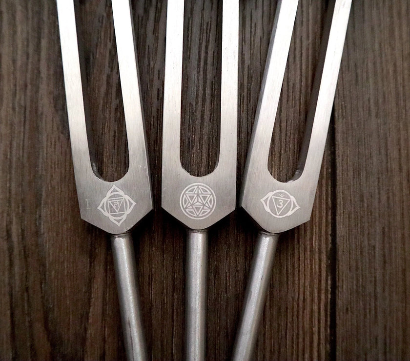 RV Medics' Professionally Tuned .25 8pc Chakra Tuning Fork Set - Silver - Root to Crown Chakras - Attenuator Extenders - Biofield