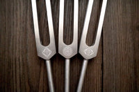 RV Medics' Professionally Tuned .25 8pc Chakra Tuning Fork Set - Silver - Root to Crown Chakras - Attenuator Extenders - Biofield